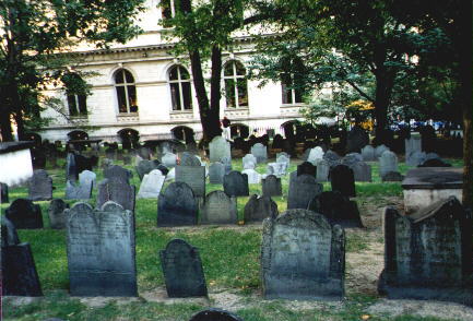 Boston billede 6