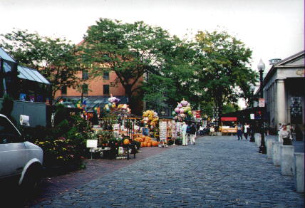 Boston billede 8